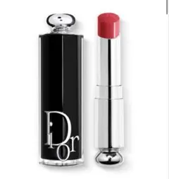 DIOR アディクトリップスティック976