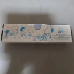 スヌーピー ユニバーサル・スタジオ・ジャパン コラボフードキープパック