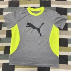 PUMA グレー/イエロー Tシャツ