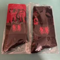 DIR EN GREY ソックス 2種セット 新品　お土産席特典