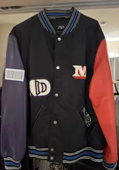 ZARA 刺繍スタジャン 黒/赤/紫 てつや着用