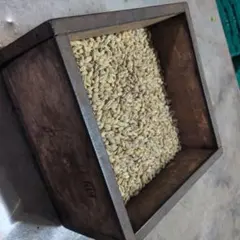 mitamita.tweetytanさま専用　二条大麦4kg 緑米籾米12kg 2026年最新】mitamitaの人気アイテム - メルカリ