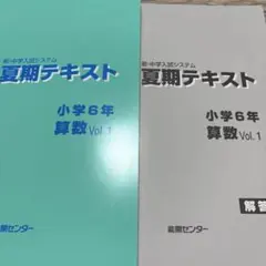 2026年最新】能開センター 小6の人気アイテム - メルカリ