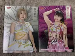 Item thumbnail for item 90bf1b65-b613-4640-b074-747b22bf79e7