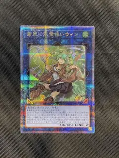 2025年最新】蒼翠の風霊使いウィン 25thの人気アイテム - メルカリ