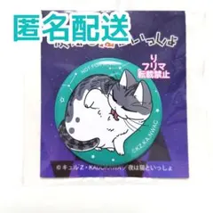 ▲キズあり 夜は猫といっしょ キュルガ 缶バッジ 限定品 限定 非売品のサムネイル
