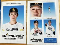 95 川口冬弥★ファンフェスシークレット　証明写真風スマロイド