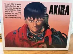2026年最新】AKIRA ジグソーパズルの人気アイテム - メルカリ