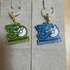 ポケモン　ポケチャーム