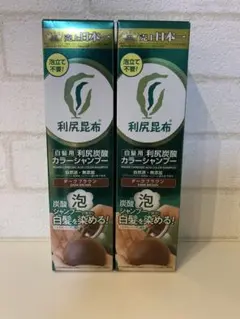 利尻炭酸カラーシャンプー ダークブラウン 新品未使用 2本セット