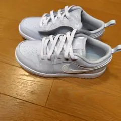 ナイキ エアジョーダン ローカットスニーカー 22cm