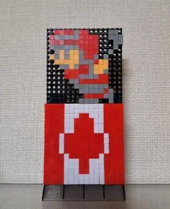 ドッツ　.s　トミーテック　アイスホッケー　カナダ代表