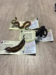チョコQ シークレット ツチノコ イリオモテオオヤマネコ アカマタのサムネイル
