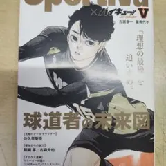 ハイキュー!! ショーセツバン!! 球道者の未来図