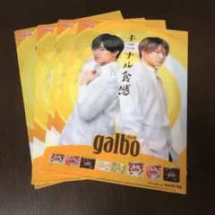 SexyZone×ガルボ クリアファイル4枚