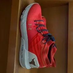 UNDER ARMOUR PROJECT ROCK 2 アンダーアーマー27.5