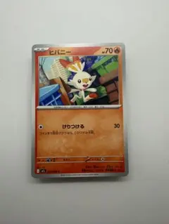 ポケモンカード ヒバニー プロモ 006/S-P ポケモンカードステーション