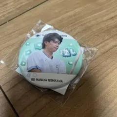 埼玉西武ライオンズ　西川愛也