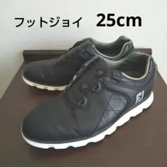 ジャンボ尾崎プロ、J'sスパイクレスゴルフシューズ、25.0cmヌバック