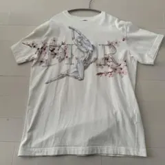 Dior Tシャツ