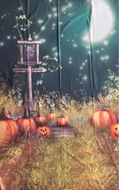 Item thumbnail for item 401db4c2-c22e-48a8-85ec-0faf1b495d21