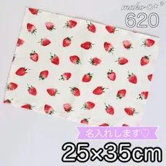 Green様 リクエスト 2点 まとめ商品