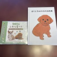 こいぬの上手な育て方 dvd ぼくときみの10のお約束　本　新品未使用のサムネイル