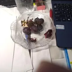 paulさん専用