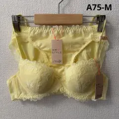 トリンプ　アモスタイル　チャーミングラマー　ブラ＆ショーツ　A75-M