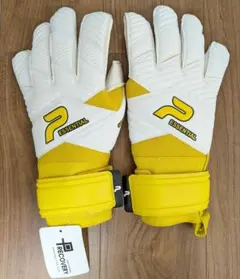 プレカバリー 9