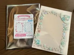 サンリオ シークレット硬質フォトケース ハンギョドン