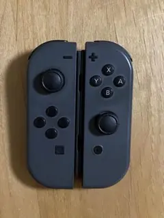 Nintendo Switch ジョイコン(L/R) セット