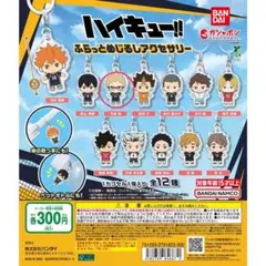 ハイキュー‼︎ ふらっとめじるしアクセサリー 月島蛍