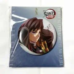 鬼滅の刃 冨岡義勇 描き下ろしイラスト 飾れる缶バッジ 劇場版 無限城