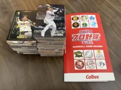 カルビー プロ野球チップス2024 amazon限定　ホルダー付き