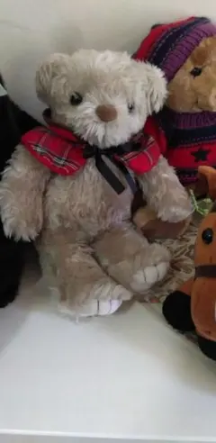 Item thumbnail for item a6f8a763-06d5-41d1-8f82-803caac5694d