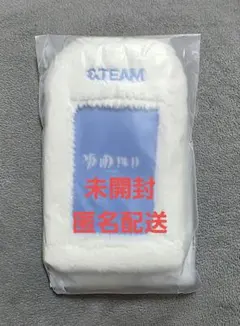 新品未開封 &TEAM 雪明かり フォトカードホルダー トレカケース POPUP