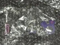 TWICE LOVELYS アクリルカラビナ フロッキーマスコット　サナ