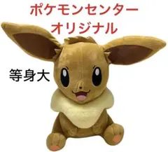 中国語　ブイズar セット　おまけ付き 2025年最新】イーブイ 中国の人気アイテム - メルカリ