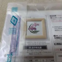 Item thumbnail for item 073655ea-ec05-4fb9-a482-69767f08a431