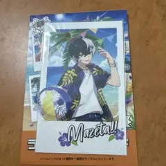 【 AMPTAK×COLORS 】まぜ太くん ランダムフォトカード