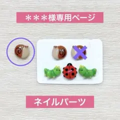 ＊＊＊様専用ページ