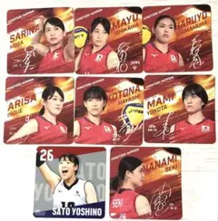 女子日本代表バレーボール　サイン　コースター　8枚セット