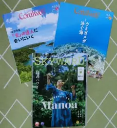 Coralway & SKYWARD 雑誌セット