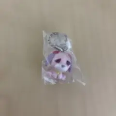 お茶犬 チョコボーロ ハナ