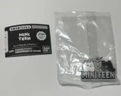 miniteen めじるし　ジュンピ