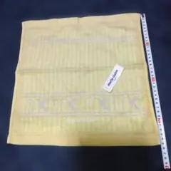 Item thumbnail for item d9d0139a-1657-487c-b9a1-cfb2c4bddc5f