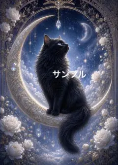 【一作限り】月夜に佇む黒猫 P574 一作限り】月夜に輝く黒猫 P580 - メルカリ