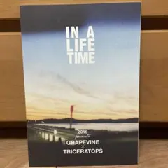 Item thumbnail for item cb96f5f5-71bf-454c-bf18-c02259e308a9