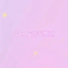 Sandyさま専用